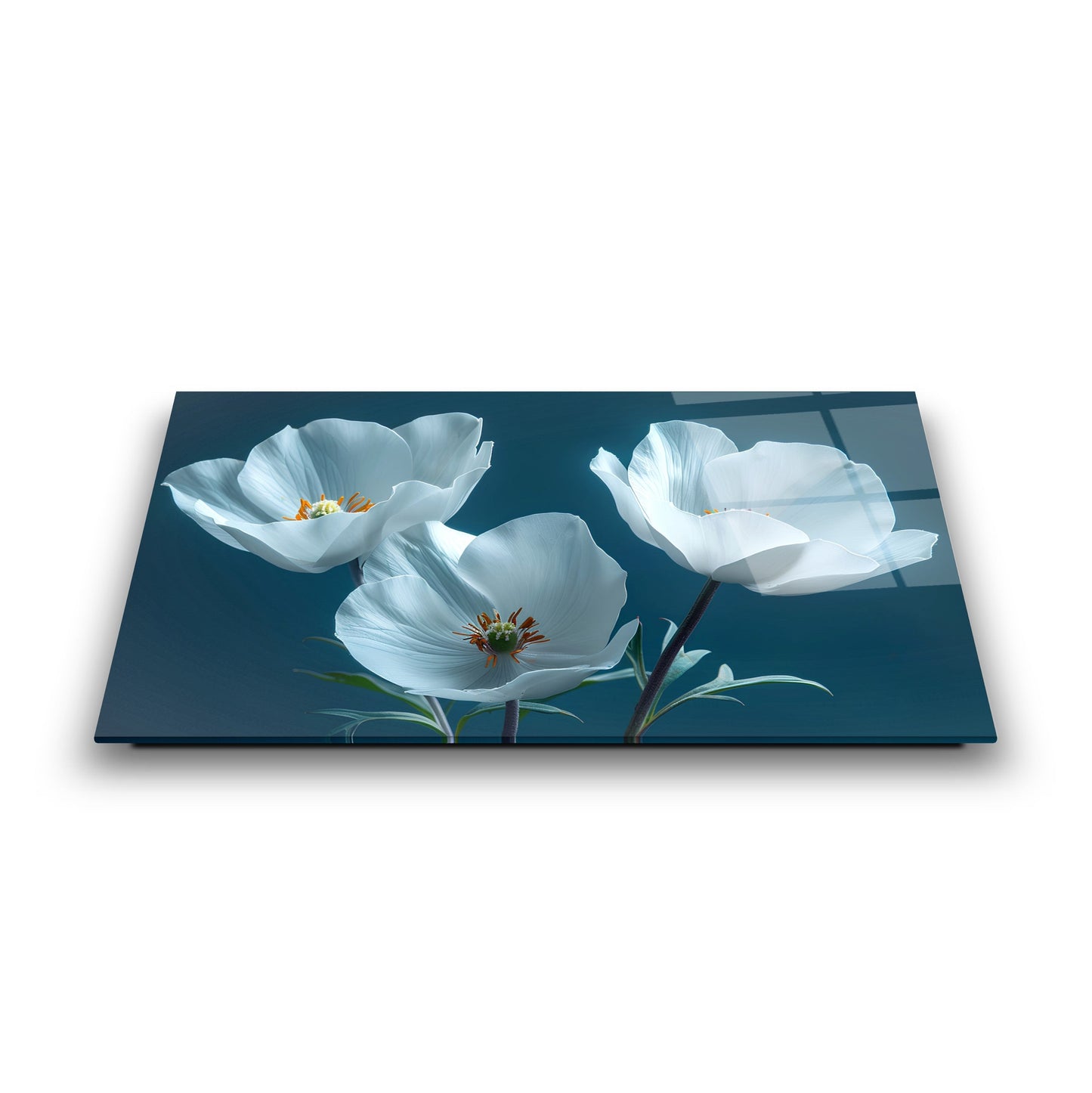 Beyaz Çiçekler Cam Tablo