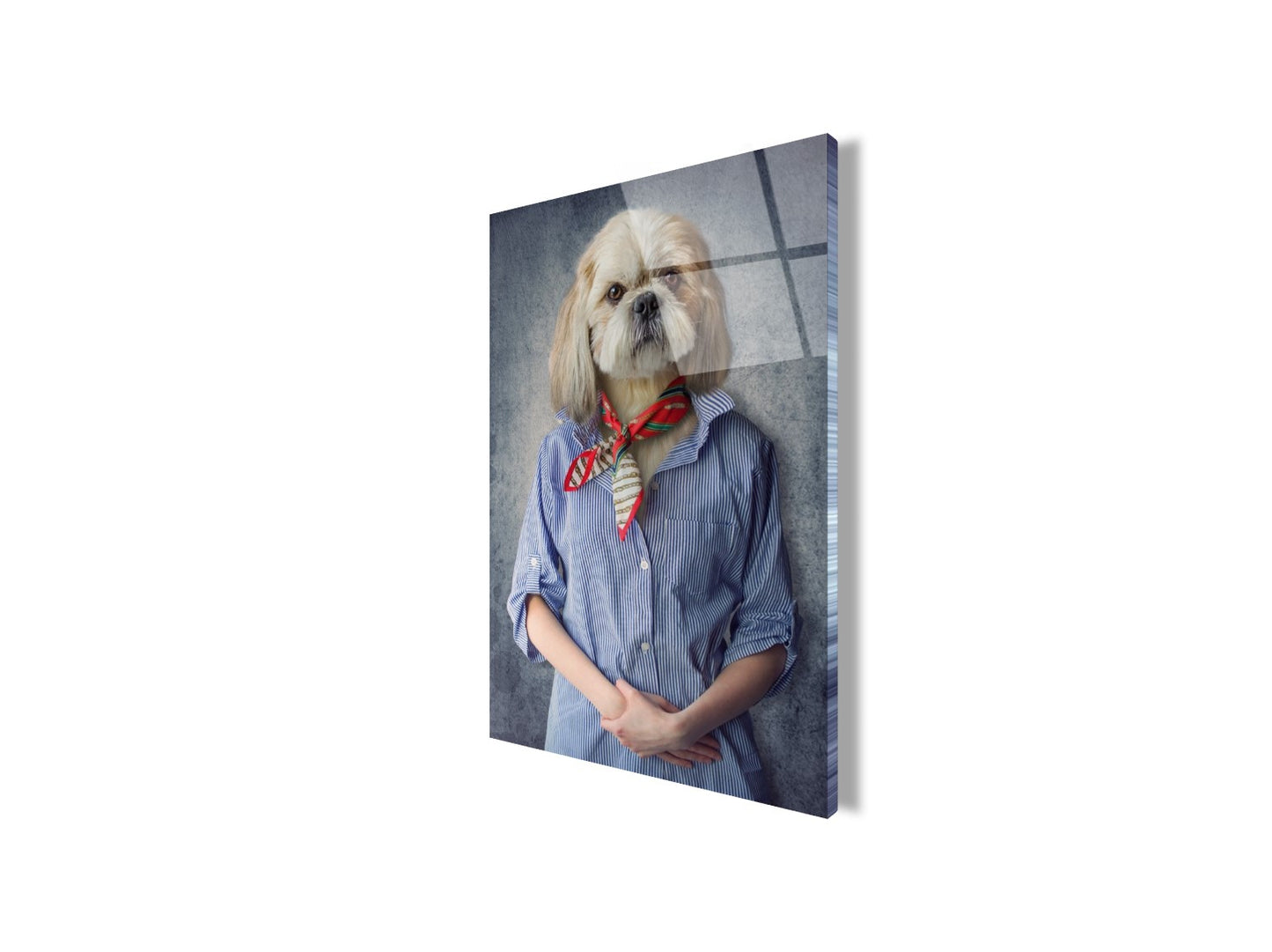Köpek Dikey Cam Tablo