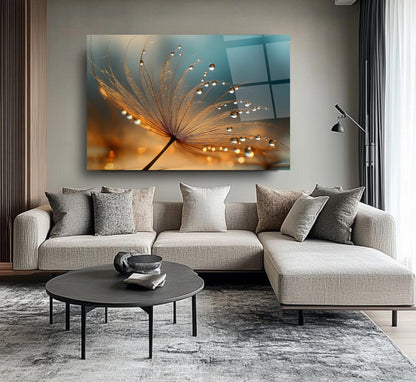 Karahindiba Cam Tablo