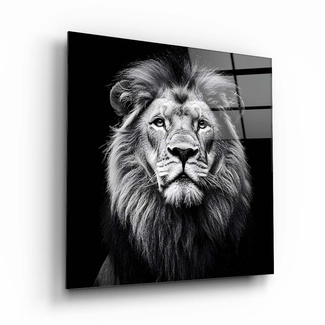 Aslan Portresi Kare Cam Tablo