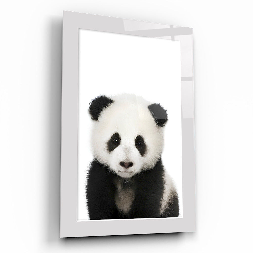 Yavru Panda Çocuk Odası Cam Tablo