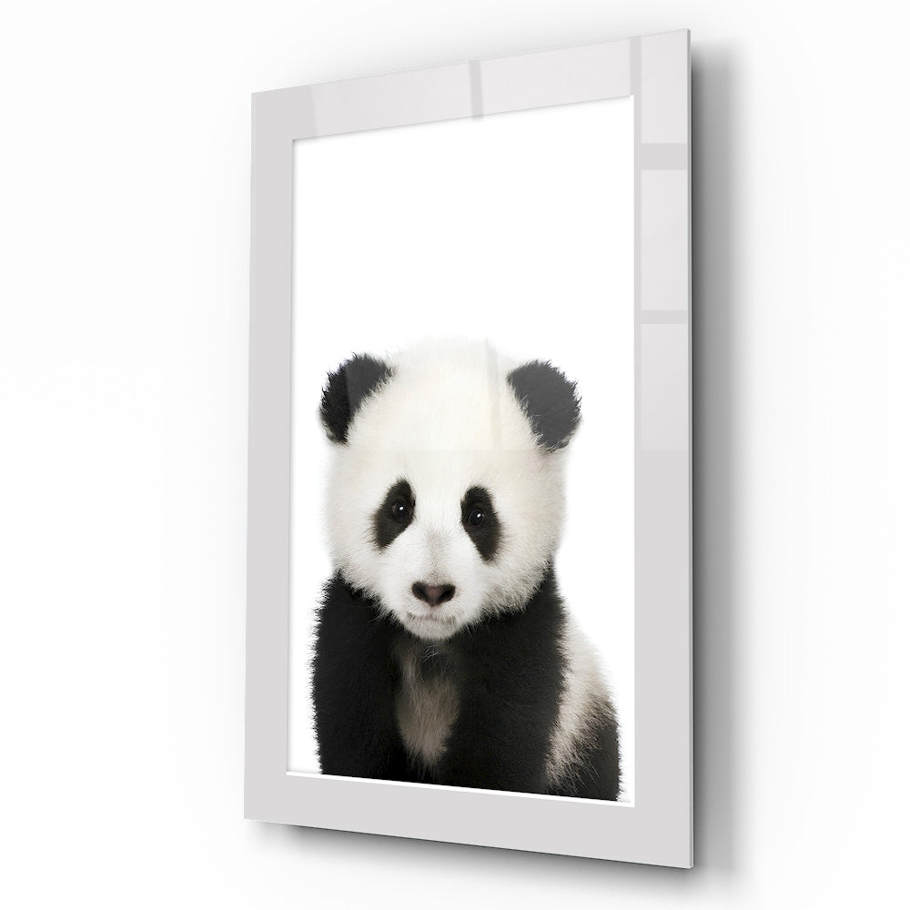 Yavru Panda Çocuk Odası Cam Tablo