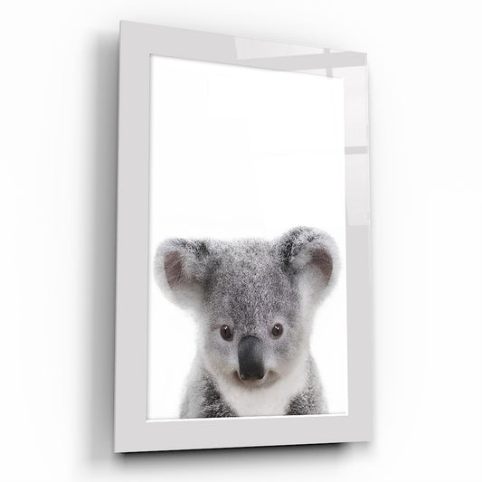 Yavru Koala Çocuk Odası Cam Tablo