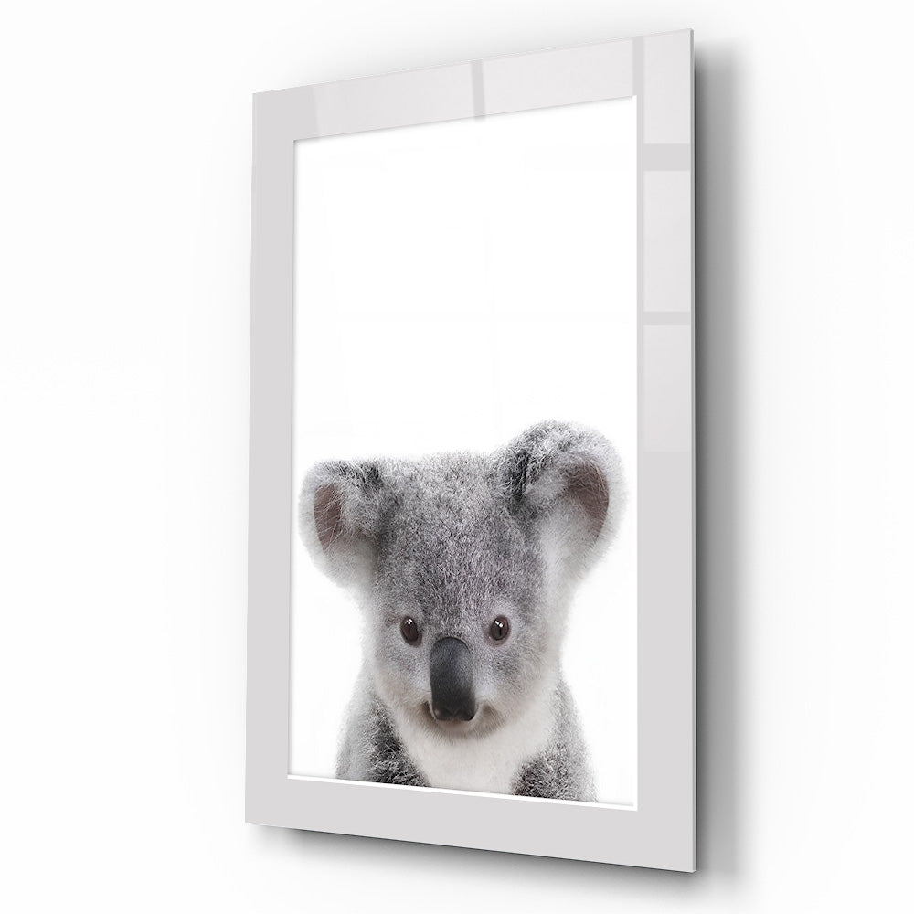 Yavru Koala Çocuk Odası Cam Tablo