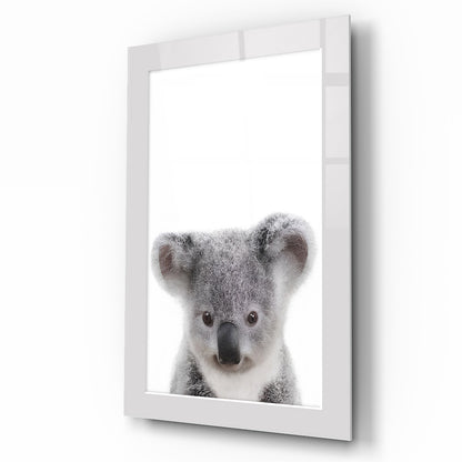 Yavru Koala Çocuk Odası Cam Tablo