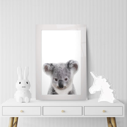 Yavru Koala Çocuk Odası Cam Tablo