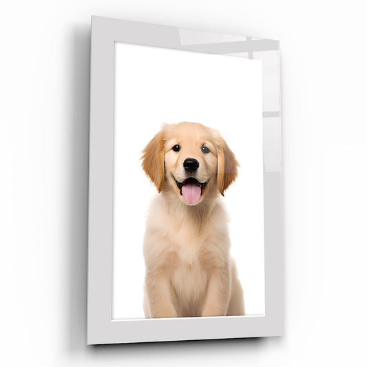 Yavru Köpek Çocuk Odası Cam Tablo