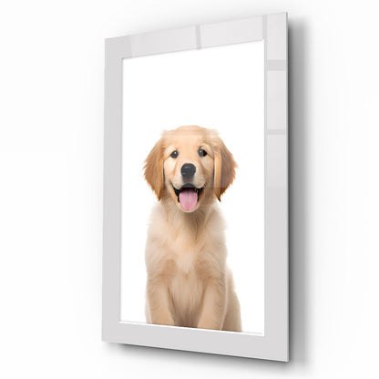 Yavru Köpek Çocuk Odası Cam Tablo