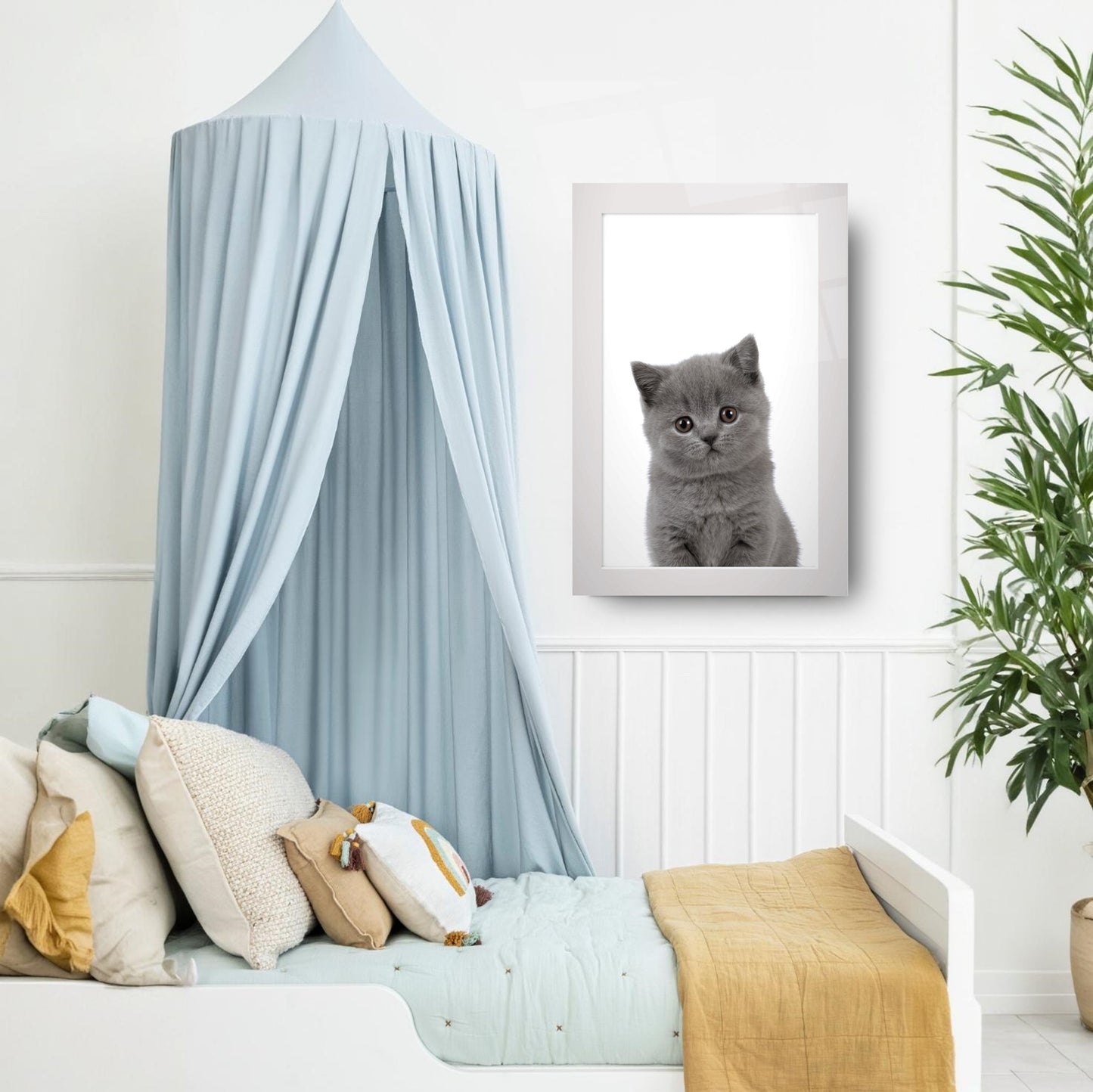 Yavru Kedi Çocuk Odası Cam Tablo
