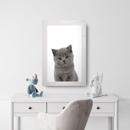 Yavru Kedi Çocuk Odası Cam Tablo