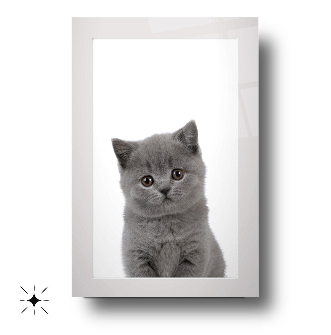 Yavru Kedi Çocuk Odası Cam Tablo