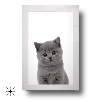 Yavru Kedi Çocuk Odası Cam Tablo
