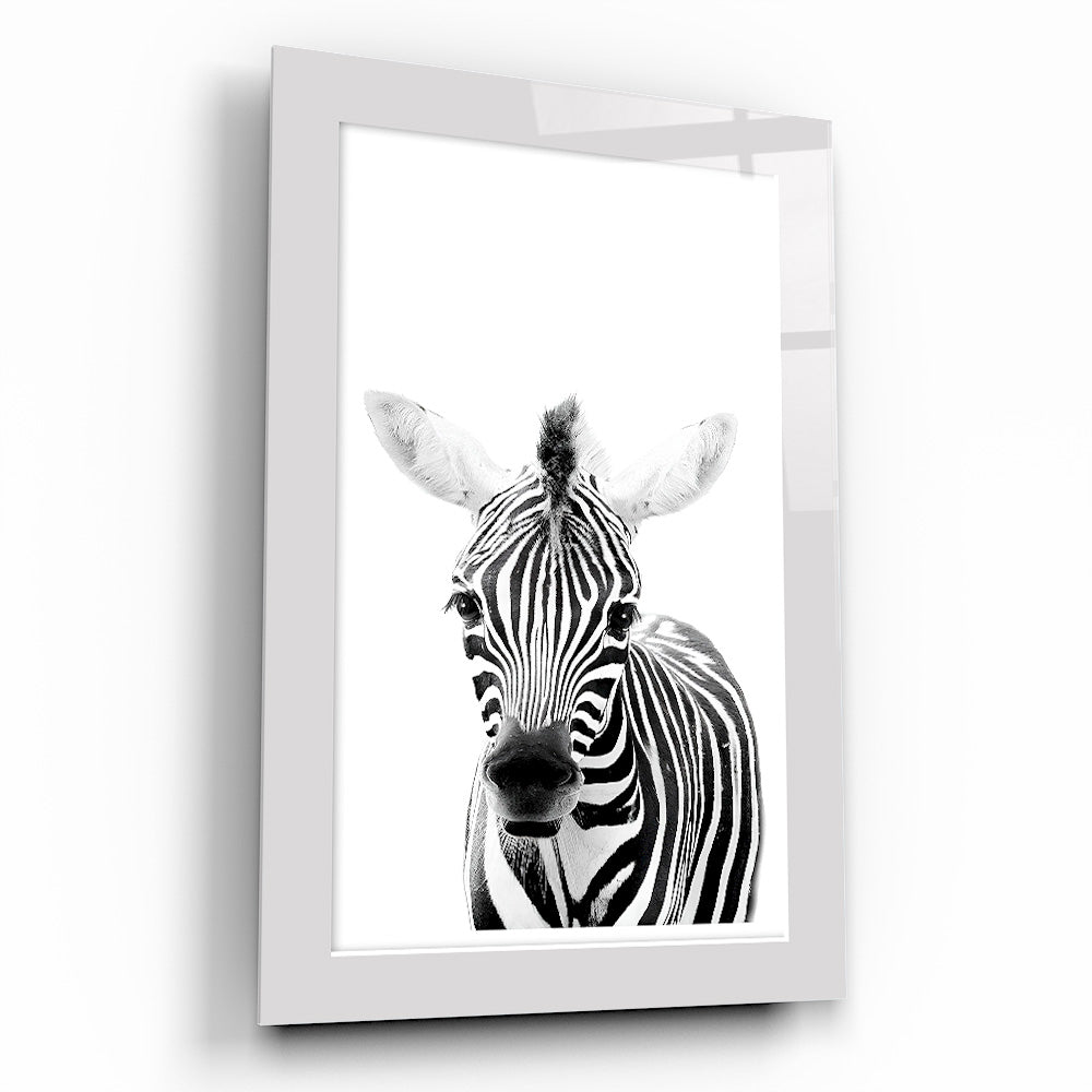 Yavru Zebra Çocuk Odası Cam Tablo