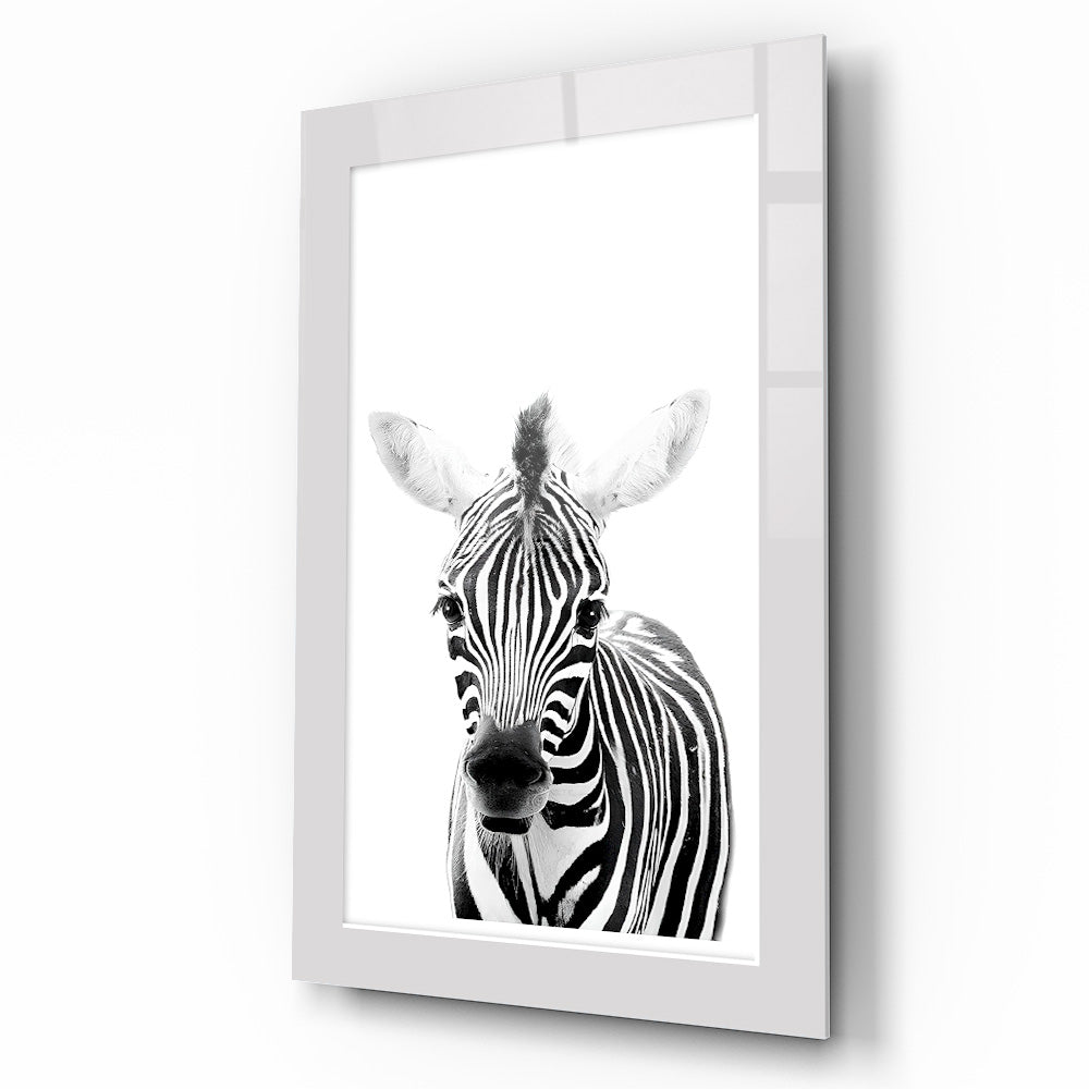 Yavru Zebra Çocuk Odası Cam Tablo