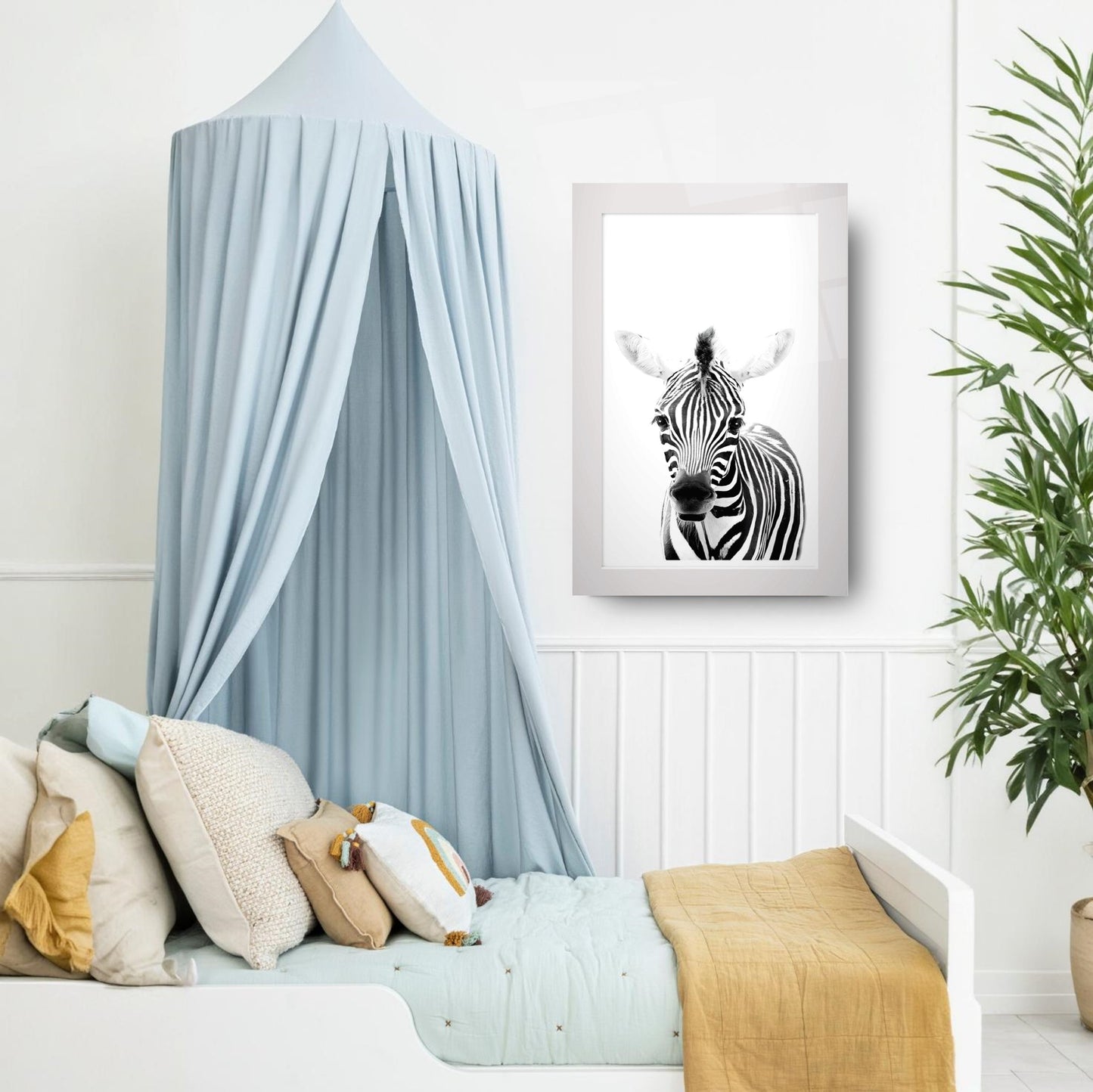 Yavru Zebra Çocuk Odası Cam Tablo