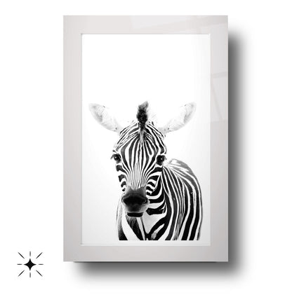 Yavru Zebra Çocuk Odası Cam Tablo