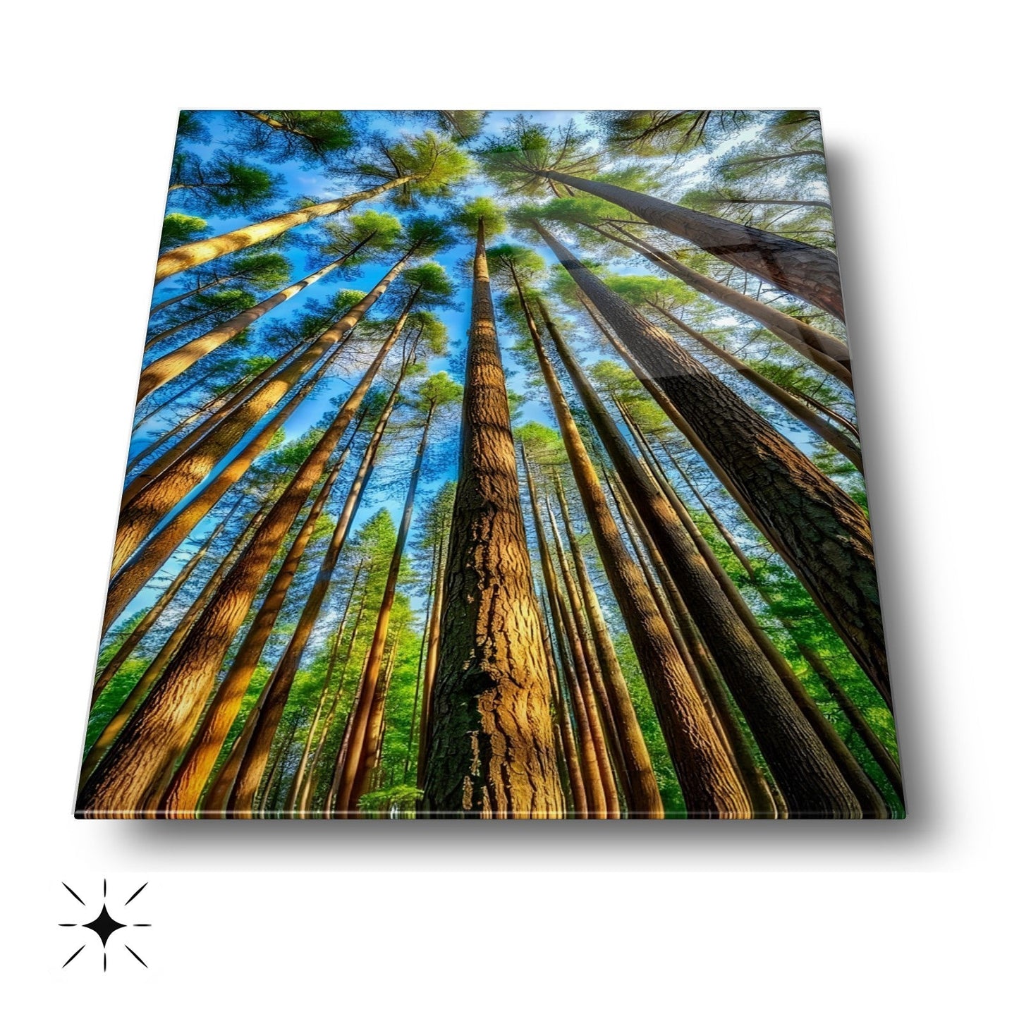 Ağaç Manzarası Cam Tablo