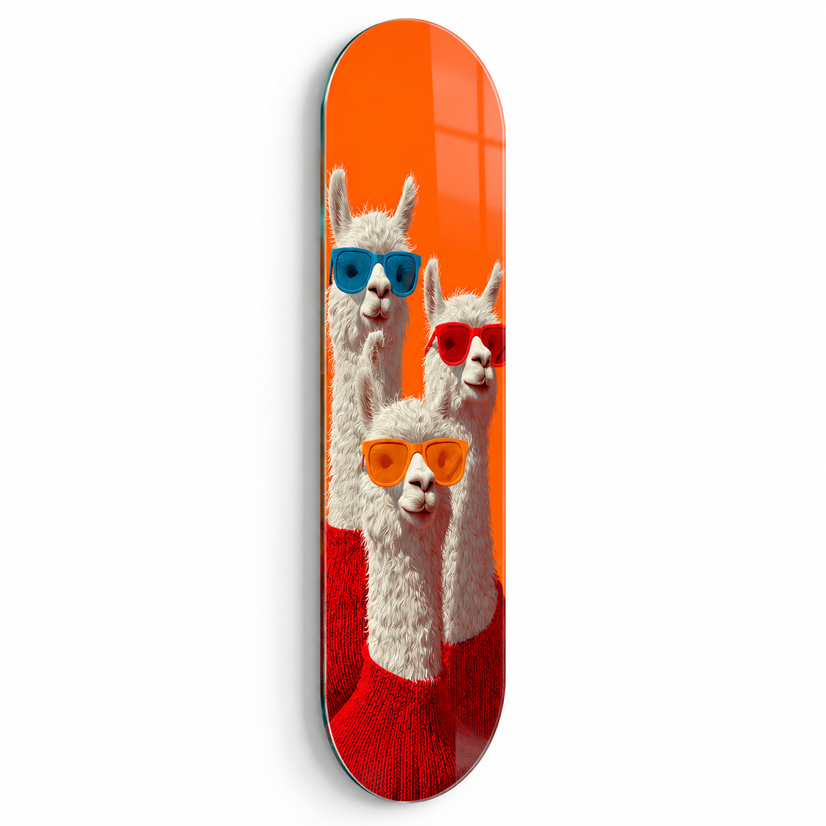 Turuncu zeminli gözlüklü alpakalar Skate Board cam tablo - beyaz zemin vitrin