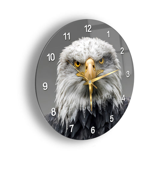 Kartal Cam Duvar Saati