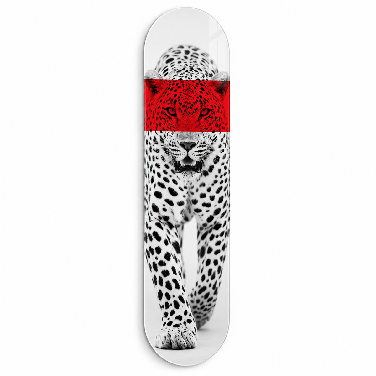 Kırmızı bantlı siyah beyaz leopar Skate Board cam tablo - beyaz zemin