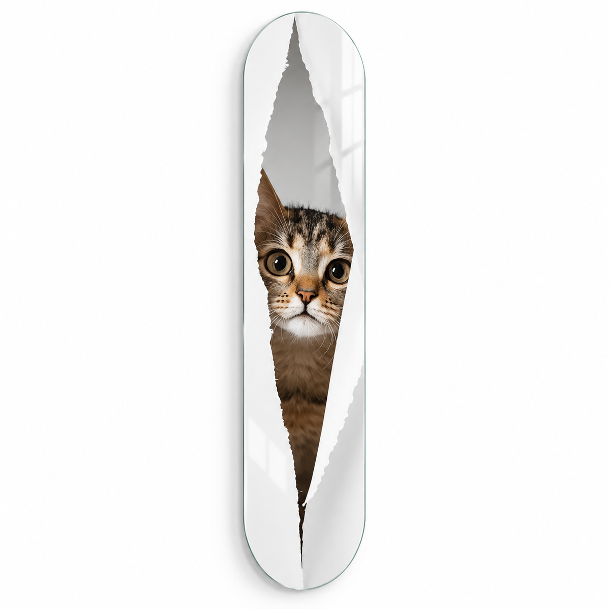 Meraklı yavru kedi yırtık kağıt efektli Skate Board cam tablo - beyaz zemin